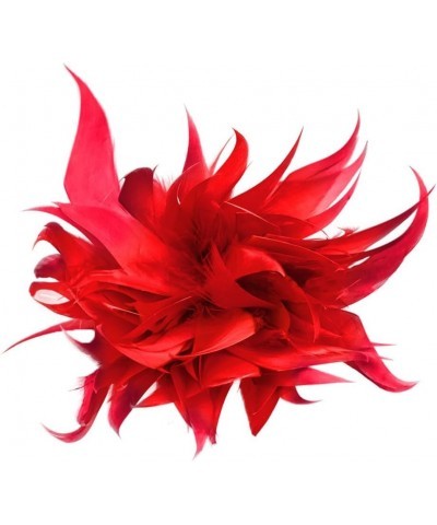 Women Feather Brooch Fashion Brooch Pins Corsage Hair Clip Headwear Hairpin Hairband for Derby Hat Cocktail Party Red $7.41 B...