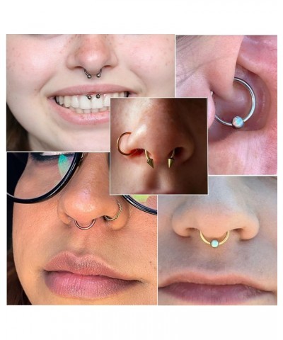 9PCS Septum Jewelry 16G Septum Rings Daith Earrings Hoop Nose Rings Horseshoe Stainless Steel Septum Rings For Women Helix Tr...