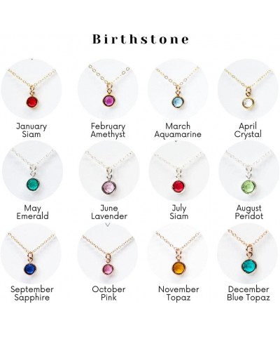 18K Gold Plated Dainty Birthstone Pendant Necklace Personalized Minimalist Simulated Diamond Cubic Zirconia Birthstone Charm ...