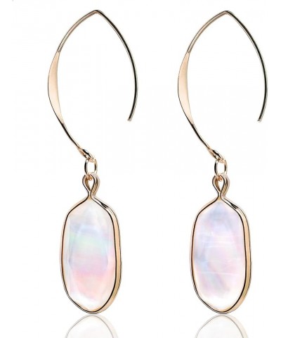 Abalone Drop Earring for Women 14K Gold Plated Oval Resin Paua Shell Dangle Hook Earring Ablone Shell-White $6.47 Earrings