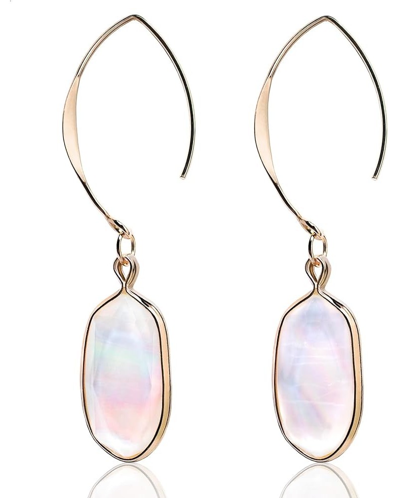 Abalone Drop Earring for Women 14K Gold Plated Oval Resin Paua Shell Dangle Hook Earring Ablone Shell-White $6.47 Earrings