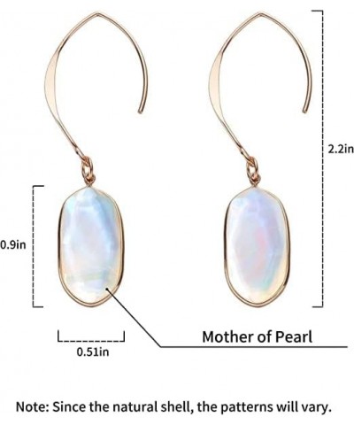 Abalone Drop Earring for Women 14K Gold Plated Oval Resin Paua Shell Dangle Hook Earring Ablone Shell-White $6.47 Earrings