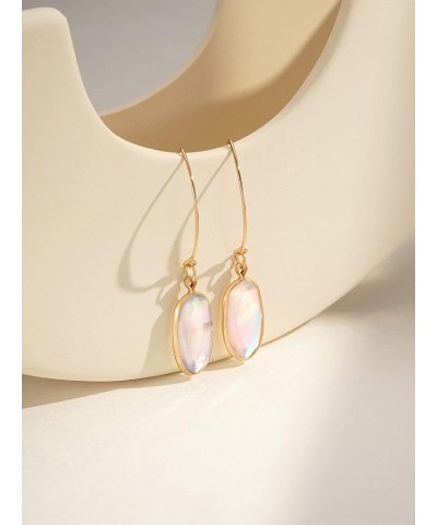 Abalone Drop Earring for Women 14K Gold Plated Oval Resin Paua Shell Dangle Hook Earring Ablone Shell-White $6.47 Earrings