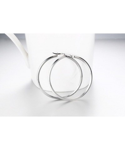 Women's Stainless Steel Gold Plated Heart Shape Hinged Large Hoop Earring,Anti-Allergy Circle+Silver $4.86 Earrings