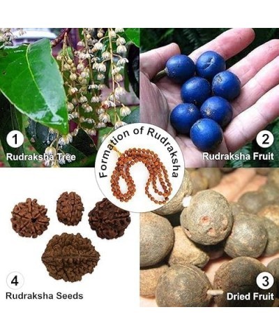 Certified Original Nepali 108+1 Rudraksha Mala for Wearing and Japa Mala 5 Mukhi Rudraksha Mala $13.05 Necklaces