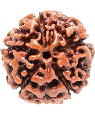 Certified Original Nepali 108+1 Rudraksha Mala for Wearing and Japa Mala 5 Mukhi Rudraksha Mala $13.05 Necklaces