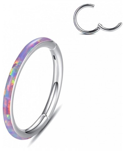 20G 18G 16G 14G Single/Double Hoop Stainless-Steel Seamless-Hinged-Piercing Segment-Clicker Nose-Ring-Hoop : Diameter 6mm 8mm...