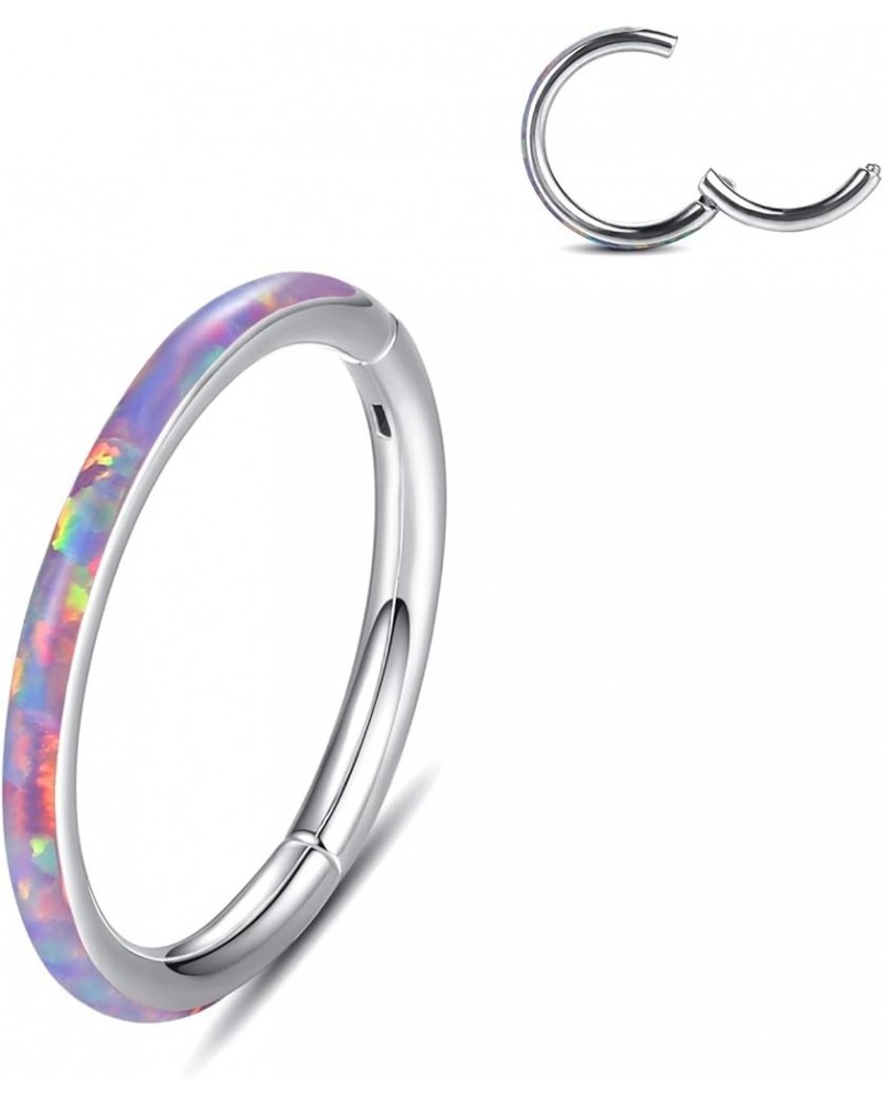 20G 18G 16G 14G Single/Double Hoop Stainless-Steel Seamless-Hinged-Piercing Segment-Clicker Nose-Ring-Hoop : Diameter 6mm 8mm...