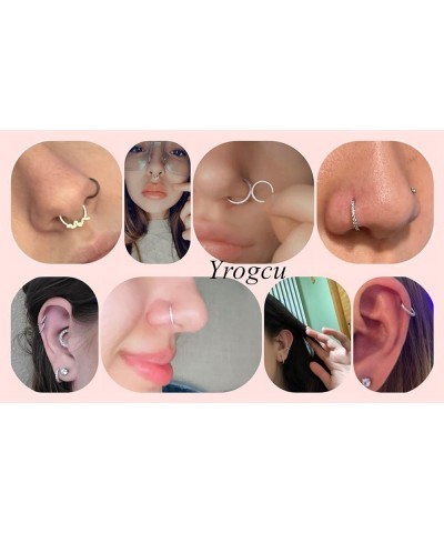 20G 18G 16G 14G Single/Double Hoop Stainless-Steel Seamless-Hinged-Piercing Segment-Clicker Nose-Ring-Hoop : Diameter 6mm 8mm...