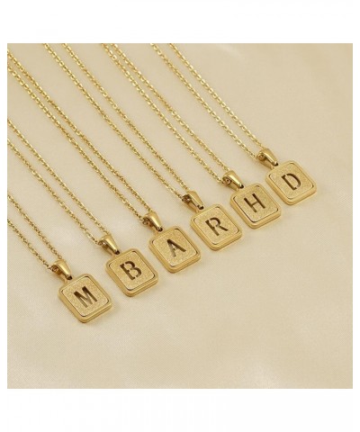 Surgical Steel 18K Gold Plating Initial Letter Pendant for Girls/Layering Choker Alphabet Pendant Necklaces for Women Gold-G ...