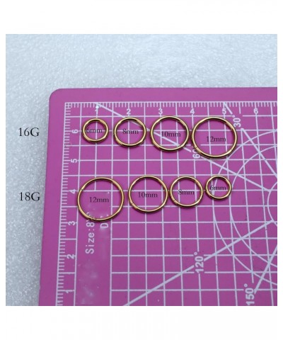 16G 18G Nose Rings Hoop 316L Stainless Steel Hinged Earrings Rings Hoop Septum Rings set Helix Ring Daith Ring Lip rings Body...