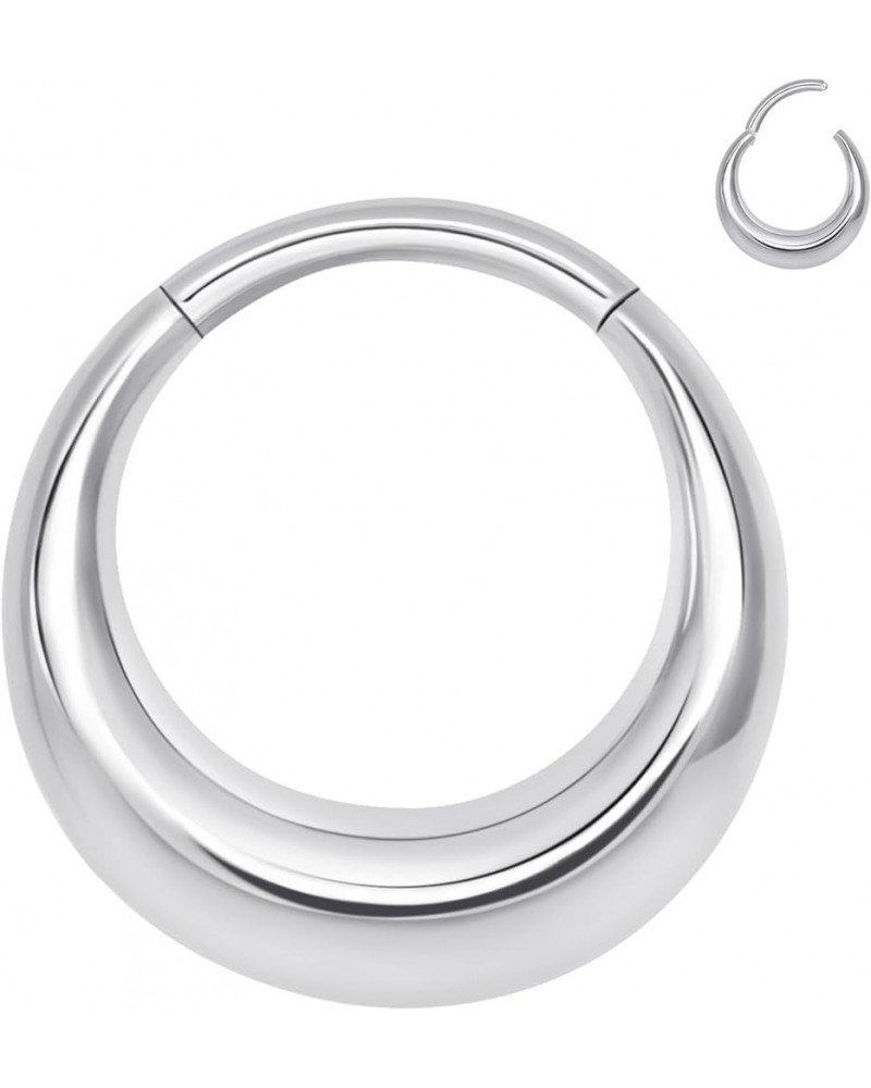 316L Stainless Steel Septum Rings Hoop for Women, 16G 8mm/10mm Stainless Steel Segment Nose Rings for Men, Cartilage Clicker ...