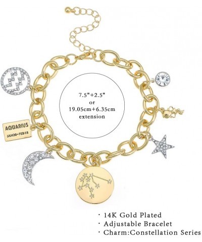 Personalization Collection Gold Plated Zodiac Constellation Symbol | Name Plate | Moon | Constellation | Star | Stone Charms ...