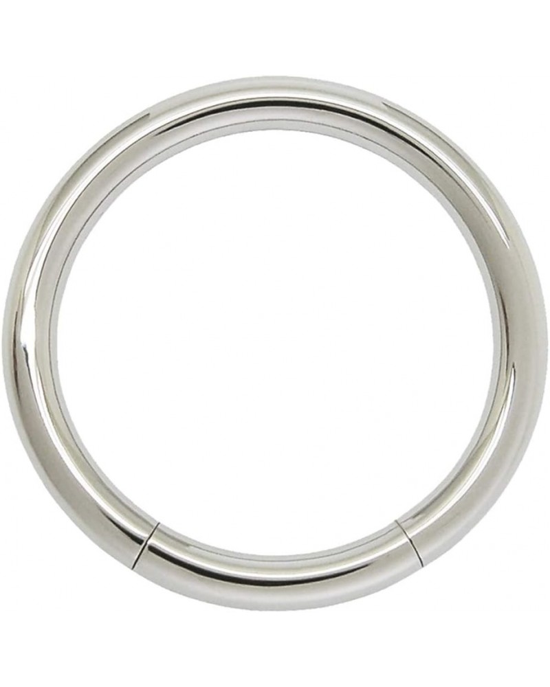 Seamless 316L Surgical Steel Segment Ring 14GA - 5/16" 8mm $8.83 Body Jewelry