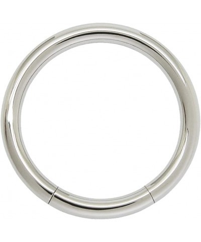 Seamless 316L Surgical Steel Segment Ring 14GA - 5/16" 8mm $8.83 Body Jewelry