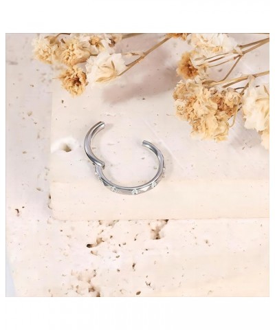 Gold Nose Rings Hoops for Women Silver Septum Rings 16g Nose Piercings Jewelry 316L Surgical Steel Conch Rook Helix Piercing ...