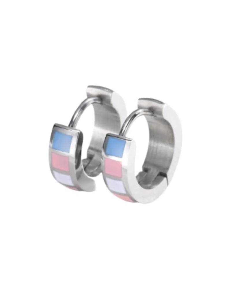 Stainless Steel Rainbow Hoop Earrings LGBT Pride Earrings for Lesbian Bisexual Transgender Nonbinary Asexual Flag Earrings LG...