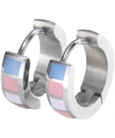 Stainless Steel Rainbow Hoop Earrings LGBT Pride Earrings for Lesbian Bisexual Transgender Nonbinary Asexual Flag Earrings LG...