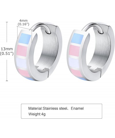 Stainless Steel Rainbow Hoop Earrings LGBT Pride Earrings for Lesbian Bisexual Transgender Nonbinary Asexual Flag Earrings LG...