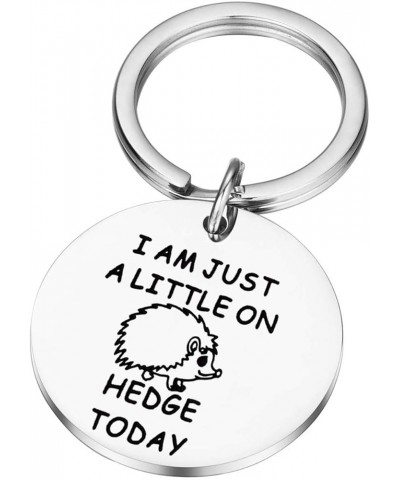 Hedgehog Gift Hedgehog Lover Gift Animal Lover Gift Little on Hedgehog Ky $10.01 Necklaces