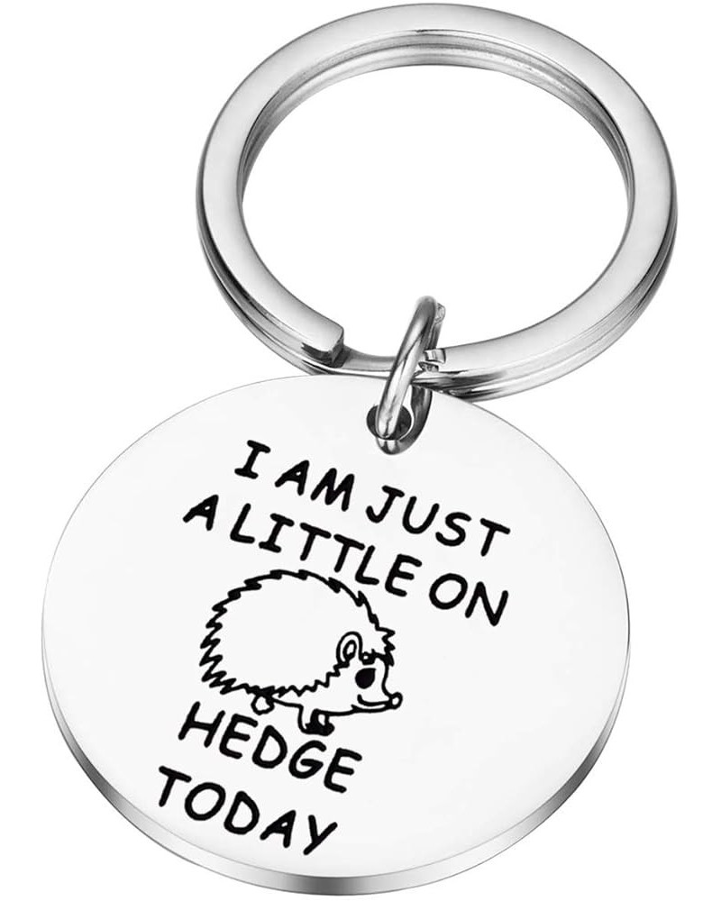 Hedgehog Gift Hedgehog Lover Gift Animal Lover Gift Little on Hedgehog Ky $10.01 Necklaces