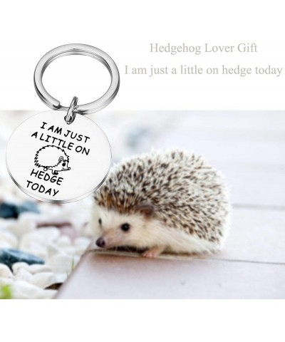 Hedgehog Gift Hedgehog Lover Gift Animal Lover Gift Little on Hedgehog Ky $10.01 Necklaces