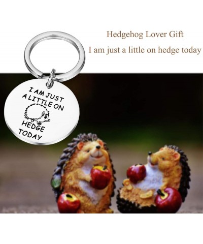 Hedgehog Gift Hedgehog Lover Gift Animal Lover Gift Little on Hedgehog Ky $10.01 Necklaces