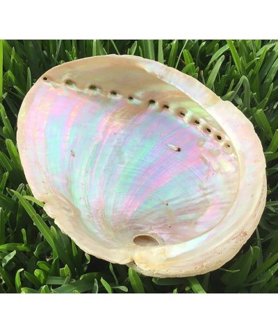 316L Stainless Steel Comfort Fit Natural White Abalone Paua Shell Inlay Hawaiian Flat Top Bangle Bracelet (Width: 6mm, 8mm, 1...